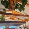 d623b8ed-c8ba-4ac1-8936-ffc8648e38e8 TINY HOUSE ARCHITECTE – LUXE, DESIGN & LIBERTÉ